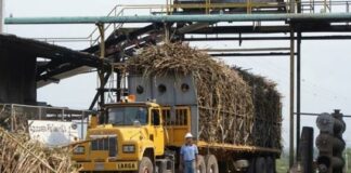 Estados Unidos ordena detener embarques de azúcar sin refinar del Central Romana