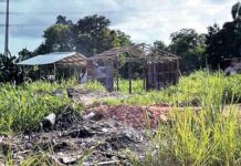 Decreto sobre invasiones de tierra enfrenta trabas legales
