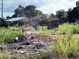Decreto sobre invasiones de tierra enfrenta trabas legales
