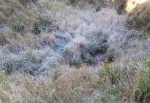 Onamet: temperaturas disminuirán hasta 18 grados en Santo Domingo el resto de la semana