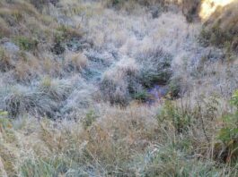 Onamet: temperaturas disminuirán hasta 18 grados en Santo Domingo el resto de la semana