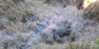 Onamet: temperaturas disminuirán hasta 18 grados en Santo Domingo el resto de la semana