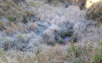 Onamet: temperaturas disminuirán hasta 18 grados en Santo Domingo el resto de la semana