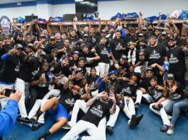 LICEY CAMPEÓN!!! Rojas Jr decide triunfo de los felinos con hit remolcador en la 10ma entrada