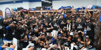 LICEY CAMPEÓN!!! Rojas Jr decide triunfo de los felinos con hit remolcador en la 10ma entrada