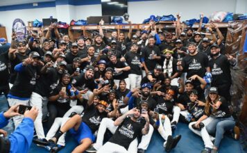 LICEY CAMPEÓN!!! Rojas Jr decide triunfo de los felinos con hit remolcador en la 10ma entrada