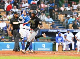 Licey y Estrellas se refuerzan en el sorteo de reingreso para importados