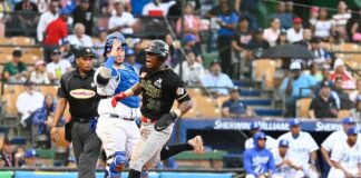 Licey y Estrellas se refuerzan en el sorteo de reingreso para importados