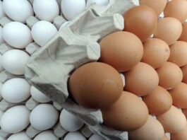 Productores de huevos deploran medida prohíbe sean exportados