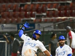 Rojas Jr. decide triunfo del Licey sobre las Estrellas