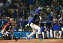 Licey aplasta a los Gigantes y obtiene su pase a la Serie Final