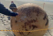 Japón: la misteriosa bola gigante hallada en una playa al suroeste de Tokio