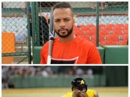 Águilas y Toros intercambian jugadores; Robles pasa al #ToroLío por Celestino