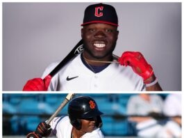 Estrellas y Leones intercambian jugadores; Noel pasa a los verdes por Luciano