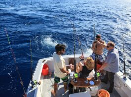 Anuncian Torneo The Sailfish Bowl 2023 en Marina Casa de Campo