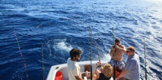 Anuncian Torneo The Sailfish Bowl 2023 en Marina Casa de Campo