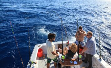 Anuncian Torneo The Sailfish Bowl 2023 en Marina Casa de Campo