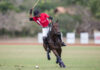 La BRITCHAM anuncia la VIII edición de la Copa Británica de Polo