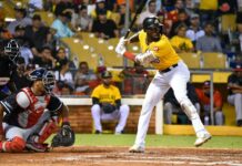 Orlando Calixte ahora es un león; firma con el Escogido en la agencia libre