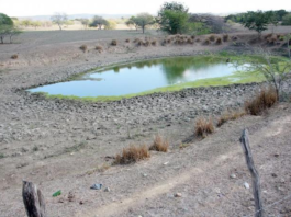 Atisban los signos de fuerte sequía