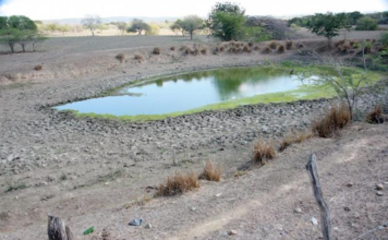 Atisban los signos de fuerte sequía