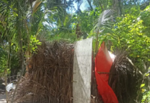 Medio Ambiente derriba 16 casuchas en zona de playa la isla Saona