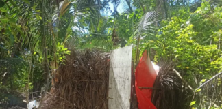 Medio Ambiente derriba 16 casuchas en zona de playa la isla Saona