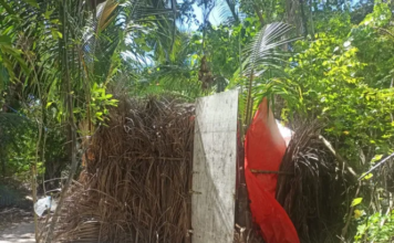 Medio Ambiente derriba 16 casuchas en zona de playa la isla Saona