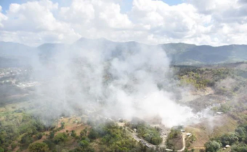 Fuerza aérea sofoca desde el aire los fuegos forestales