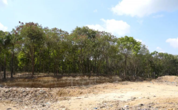 Medio Ambiente empieza reforestación en proceso de cierre técnico del vertedero de Duquesa