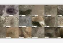 ‘Waskiri’, la construcción prehispánica descubierta en Bolivia que impacta a los arqueólogos