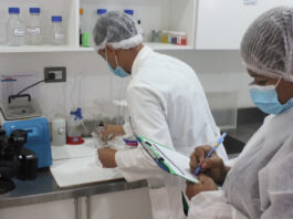 INABIE realiza más de 900 inspecciones a suplidores de alimento escolar en primer trimestre 2023