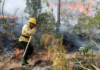 Incendios forestales: gastos, daños y acciones