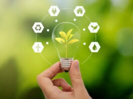 Eficiencia energética: clave en la protección del medio ambiente y la economía