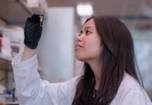 El nuevo antibiótico descubierto con inteligencia artificial capaz de matar a una superbacteria mortal