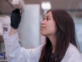 El nuevo antibiótico descubierto con inteligencia artificial capaz de matar a una superbacteria mortal