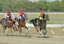 Cami Runner gana trofeo Día Especial del Groomer