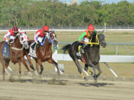 Cami Runner gana trofeo Día Especial del Groomer