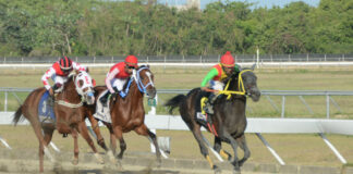 Cami Runner gana trofeo Día Especial del Groomer
