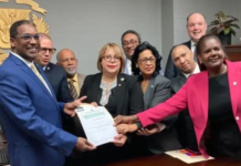 Legisladores entregan informe final revisión Ley Seguridad Social