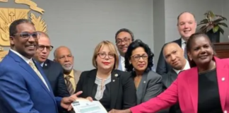 Legisladores entregan informe final revisión Ley Seguridad Social