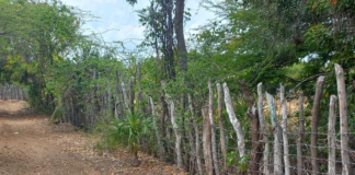 Siguen colocando alambradas en amplios predios de las Dunas