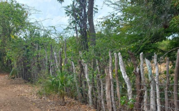 Siguen colocando alambradas en amplios predios de las Dunas