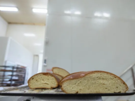 Ong denuncia supuesto uso de bromato en elaboración del pan