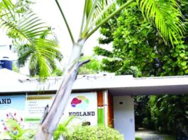 Cerrados 12 centros de servicios de salud