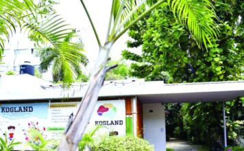 Cerrados 12 centros de servicios de salud