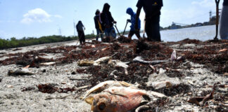 Continúan quejas en Azua por operación de barcazas