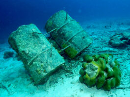 La ONU adopta finalmente su nuevo tratado para proteger los océanos