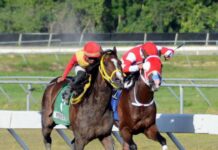 Jinetes Quevedo y Jiménez ganan dos carreras cada uno en el Quinto