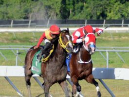Jinetes Quevedo y Jiménez ganan dos carreras cada uno en el Quinto